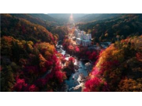 中山12月賞秋攻略｜4個美到心顫的秋日秘境