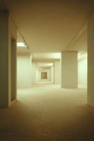 50+的腸道守護(hù)神！乳酸菌養(yǎng)護(hù)指南，助您恢復(fù)健康腸道菌群