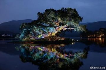 今日頭條新功能:實況照片分享,余姚美食美景生動呈現