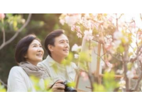 愛情如荼蘼：短暫綻放的永恒之美及生活感悟