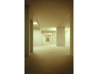 50+的腸道守護(hù)神！乳酸菌養(yǎng)護(hù)指南，助您恢復(fù)健康腸道菌群