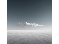 王陽明“知行合一”哲學：照亮現代人的精神燈塔