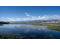 甘南圣境五日游詳解攻略：徒步探秘自然奇觀，體驗藏式風情之旅