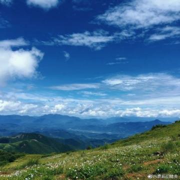 從呼倫貝爾到漠河:大興安嶺11日攝影旅行全攻略