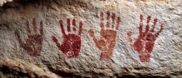 揭秘哺乳動(dòng)物五指之謎:遺傳密碼與自然選擇的力量