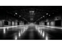 黃頰山雀：亮黃色臉頰與高冠羽的醒目鳥類生態及分布特點解析