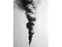 南寧動物園網紅黑猩猩戒煙：從扔糞便到改掉不良習慣的轉變啟示