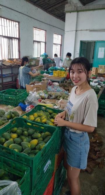 喀什水果季：留香瓜與西梅接力飄香申城，每季有明星打造區(qū)域品牌新形象