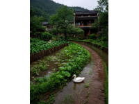 成都周邊徒步玩水避暑新寵——大邑丁木溝大峽谷旅游簡介和旅游攻略