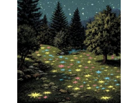 夜幕為花果園濕地公園拉上深藍幕布時，整座公園便成了被星光吻過的聚寶盆