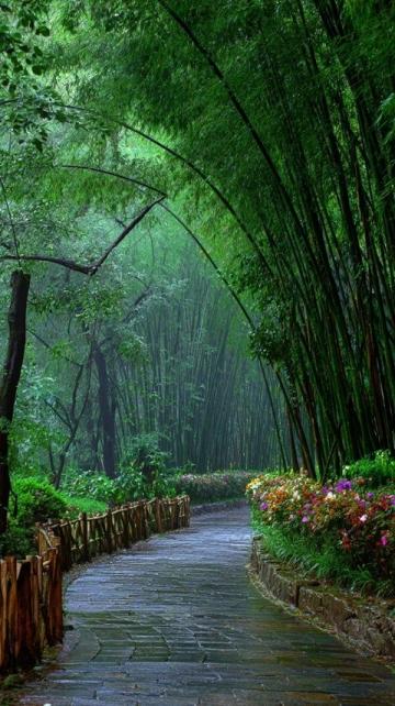 成都作為一座歷史悠久、文化豐富、美食眾多的城市,四季各有不同的風(fēng)貌和旅游體驗(yàn)