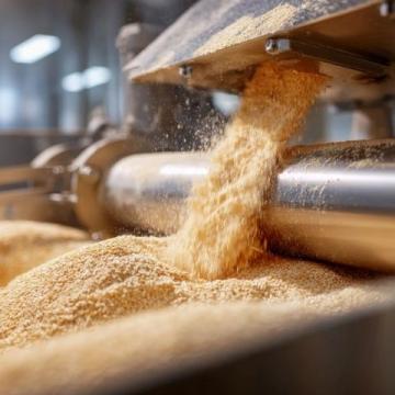 遼寧糧倉上百噸儲備糧失蹤，官方稱被老鼠吃掉引發質疑