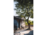 步入云廬小頌，如窺宋人畫卷一角——木色素雅，簾動微風