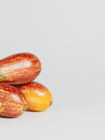 紅燒茄子的做法(美食天下茄子的做法)