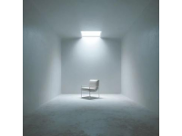 低脂高蛋白黃瓜炒雞胸肉，輕松健康又快手！