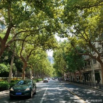 今日頭條能發實況照片了旅行我的旅行日記湖南懷化洪江古商城旅游攻略