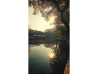 好的！十一假期濟(jì)南人氣旺絕對(duì)有它的道理，泉城的秋日正是好光景