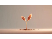 每日堅持的力量：從平凡日常中看見成長的奇跡