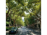 今日頭條能發(fā)實況照片了旅行我的旅行日記湖南懷化洪江古商城旅游攻略