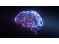 科技向善與認知革新2025：年度知識關(guān)鍵詞